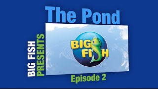 Gummy Drop Hints New MCF amp Giveaways  The Pond Ep 2 [upl. by Tasia]