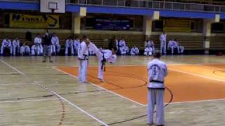 Pokaz TaekwonDo  Nowa Ruda 2009  Jarosław Suska  cz2 [upl. by Johns95]