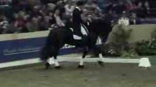 Friesian stallion Jasper 366 Dressage [upl. by Kenwood866]