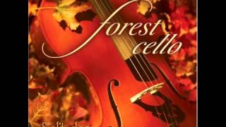 Dan Gibson  Solitudes  Forest Cello  02 Cool Forest Rain [upl. by Bouldon460]