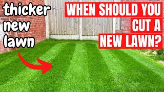 When to Cut and Fertilise a New Lawn  Complete Lawn Renovation [upl. by Blanchette811]