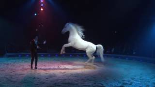 CIRCUS KNIE  Official Showreel 2011 DE [upl. by Mountfort889]