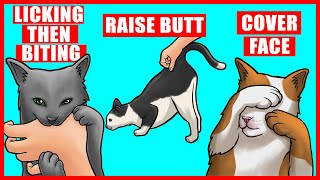 Real Meanings Behind 9 Strange Cat Behaviors Explained [upl. by Christal]