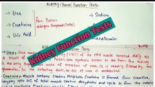 What is Hydronephrosis  Swelling of Kidney  For FREE Consultation Call On 6366526489 [upl. by Kira]