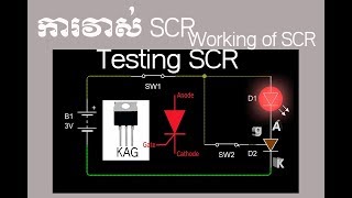 Testing ThyristorSCR measure And Working of ThyristorSCRការវាស់ SCR និងការធ្វើការរបស់ SCR [upl. by Pillihp57]