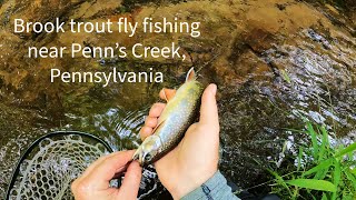 Novice fly angler hunting brook trout near Penns Creek Pennsylvania [upl. by Ludovick]