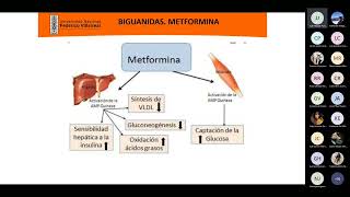 Clase 14 Antidiabéticos orales [upl. by Aillemac]
