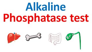 Alkaline phosphatase ALP test and its significance [upl. by Eilram]