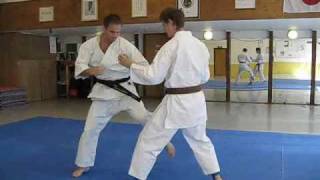 KARATE  Shotokan fighting  Tiger Karate Demo [upl. by Kendra]