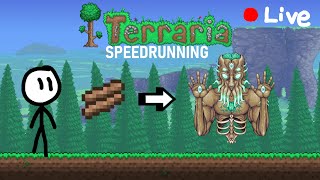 Spending 1 Year Learning How To Speedrun Terraria Week 22 [upl. by Namrehs]