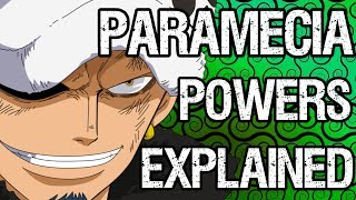 PARAMECIA Fruits Explained The Good The Bad and The OP  Tekking101 [upl. by Attenej]