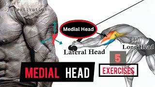 Best 5 Exercises quotMEDIAL HEAD TRICEPSquot Workout  SHREDDED BODY [upl. by Petey]