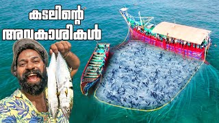 കടലിൽ മീൻ പിടിക്കാൻ കടലിന്റെ മക്കളുടെ ഒപ്പം  Sea Fishing  Day In My Life  M4 Tech [upl. by Enogitna]