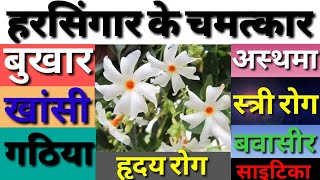 हरसिंगार के 11 अद्भुत फायदें  Health Benefits Of Harsingar In Hindi [upl. by Annawad]