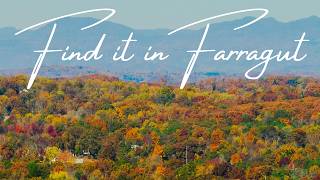 Find it in Farragut Tennessee [upl. by Ardiekal]