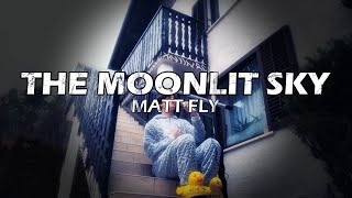 Matt Fly  The Moonlit Sky Official Music Video [upl. by Cally469]