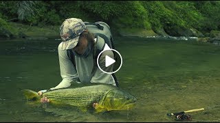 Fly Fishing for Dorado in Bolivia in TSIMANE 3X – Season Two [upl. by Ahsoet4]