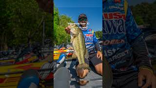 Top 25 Best Bass Lakes in the South  1 Lake Murray bassfishing fishing bestbasslakes [upl. by Nadine]