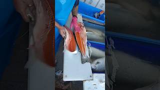 fastest salmon cutter shorts fish fishcutting [upl. by Watters952]