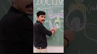 Process of Zygote Formation zygote reproduction embryology biology students mbbs ytshorts [upl. by Ydrah]