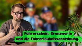 Führerschein Grenzwerte und die Fahrerlaubnisverordnung [upl. by Isolda]