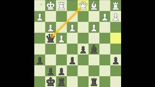 offer Queen to Queen suspended check mate [upl. by Tram]