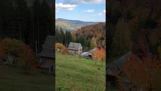 Осінь в Карпатах🍁 Autumn in the Carpathians🍁 [upl. by Ennayhc]