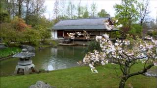 20 Jaar Japanse Tuin Hasselt  The Japanese Garden  Japanische Garten [upl. by Erdnuaed363]