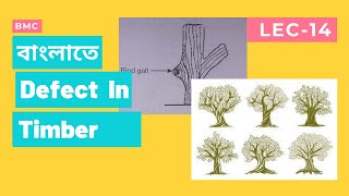 Part14 Timber Lecture II Defect  Twisted Upset in timber II Building Material Construction [upl. by Idna]