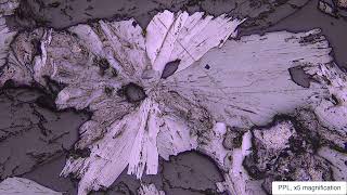 Molybdenite Reflected Light [upl. by Lezned]