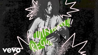 Bob Marley amp The Wailers  Punky Reggae Party Visualizer [upl. by Cida]