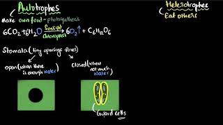 Combustion of Hydrogen [upl. by Otto]