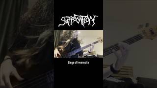 Suffocation “Liege of inveracity” Bass [upl. by Eirelam18]