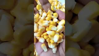 kya ap jante hai bhutta khane ke fayde 🙂 corn khane ke fayde shorts sweeetcorn bhuttekefayde [upl. by Metah]