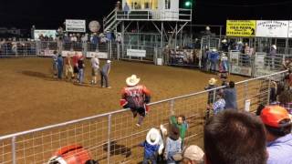 Prison Rodeo Games at the Stilwell Rodeo 51317 [upl. by Dnomse722]