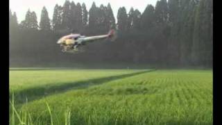 Biggest RC Helicopter Ever [upl. by Ilrahc137]