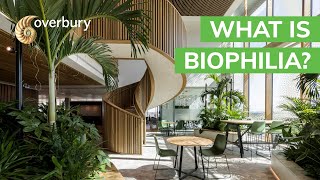 What is biophilia [upl. by Bohun]