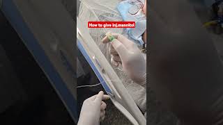 how to give mannitol shorts nursingofficer hospital doctor patientcare medical nursing [upl. by Gwenore278]