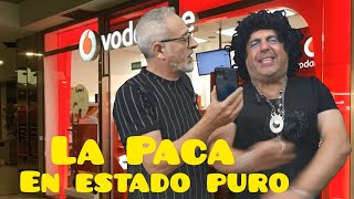 La Paca en estado puro 🤣🤣🤣🤣 [upl. by Vola56]