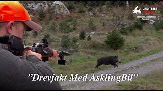 quotDrevjakt Med Askling Bil I Östergötlandquot Följ med jaktfeber på Drevjakt [upl. by Rodolphe]