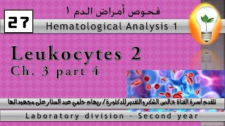 Hematology 27 leukocytes part 2 كرات الدم البيضاء ج2 [upl. by Radbourne]