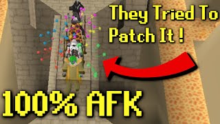 Jagex Tried To Patch AFK Agility But They Failed [upl. by Pacorro]