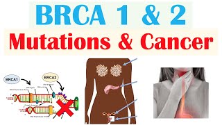 BRCA1 and BRCA2 Mutations amp Cancer Types of Cancer and Who’s Most At Risk [upl. by Araiek415]