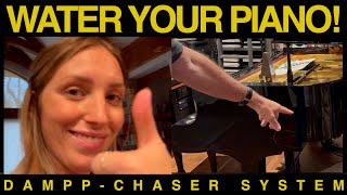 WATER YOUR PIANO DamppChaser System [upl. by Rexanne]