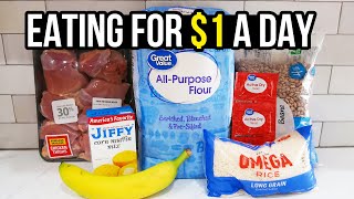 Eating for 1 a Day Cheap and Healthy Meal Ideas You Need to Try [upl. by Millwater869]