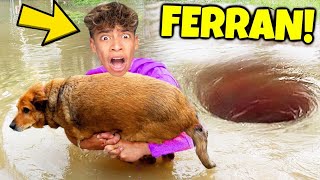 8 YouTubers Who SAVED ANIMALS LIVES The Royalty Family Salish Matter Ferran [upl. by Analem]