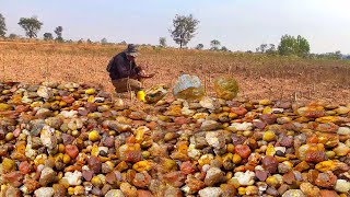 Finding Natural Chalcedony Carnelian Agate Gemstones At The Mountain Episode83 [upl. by Peta]