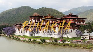 Inside Punakha Dzong  History of Punakha Dzong Bhutan [upl. by Hallutama862]