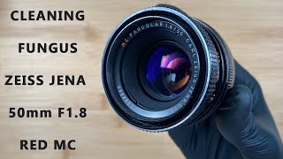 How To Clean Fungus Zeiss Jena Pancolar 50mm F18 Red MC M42 Mount Lens Front and Back Optic [upl. by Kcirrad]