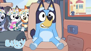 Road Trip Moments 🚗 💨  Travel Fun with Bluey and Bingo  Bluey [upl. by Dalila520]